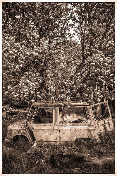 Bibikow, Walter 아티스트의 Sweden-Varmland-Bastnas-Bastnas Car Cemetery public park-antique car junkyard작품입니다.